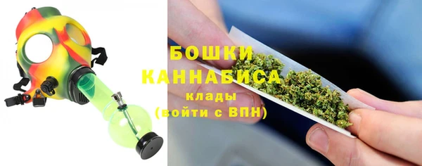 дурь Богородицк