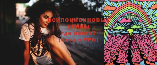 дурь Богородицк