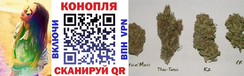 OMG онион  Гремячинск  Марихуана сатива 